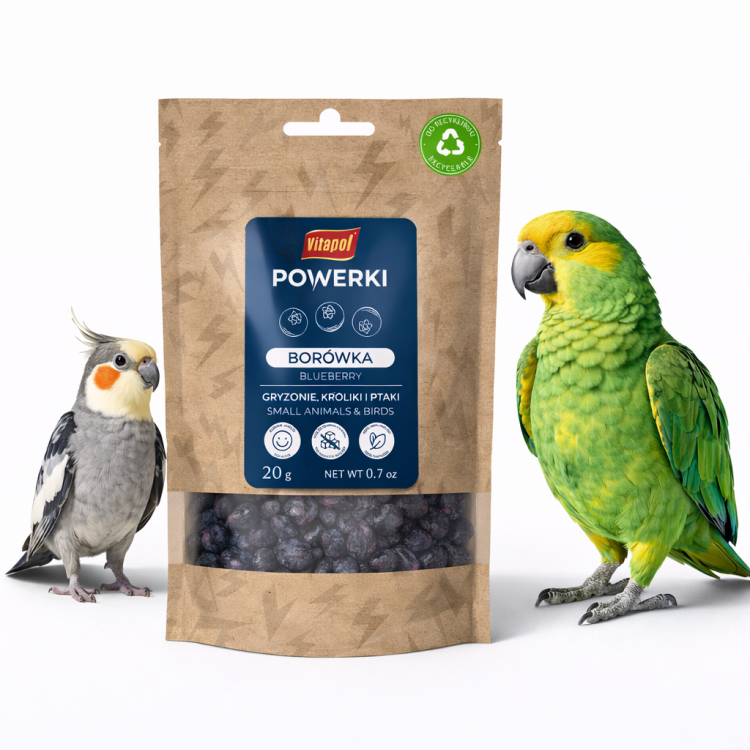 Powerki Vitapol – Borówka Liofilizowana 20 g – Naturalny Przysmak dla Papug | 100% Owoc od ParrotPlanet.pl