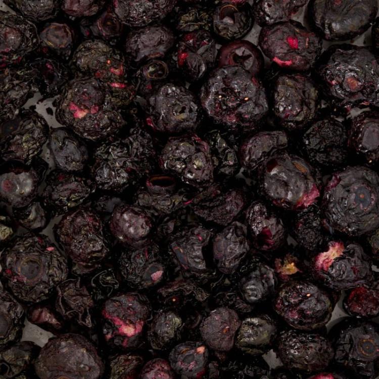 Křupavé, lyofilizované borůvky bez přísad. 100% přírodní složení. Ideální jako odměna a zpestření stravy hlodavců od ParrotPlanet.cz
