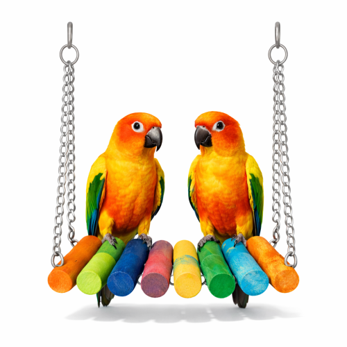 Barevný můstek  – hračka pro malé papoušky od ParrotPlanet.cz