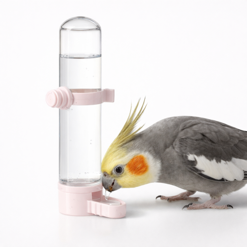 Napáječka, napáječka na vodu pro papoušky a jiné ptáky 65 ml od ParrotPlanet.cz