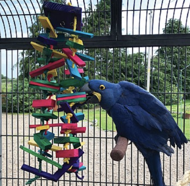 Fun70 - 70 cm hračka pro velké a střední papoušky o hmotnosti nad 1,5 kg! od ParrotPlanet.cz