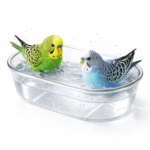 Vanička, bazének pro papoušky a jiné ptáky od ParrotPlanet.cz