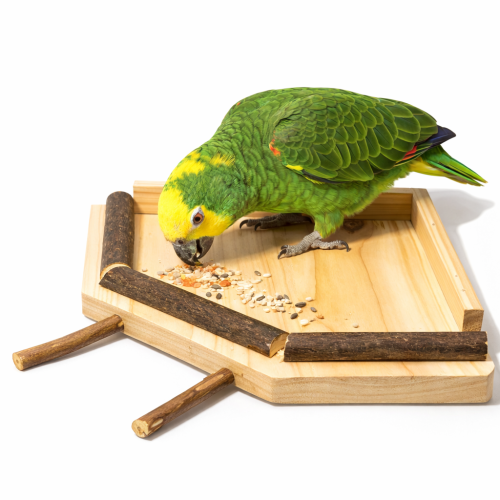 Stánek pro papoušky velikosti S 19 cm od ParrotPlanet.cz