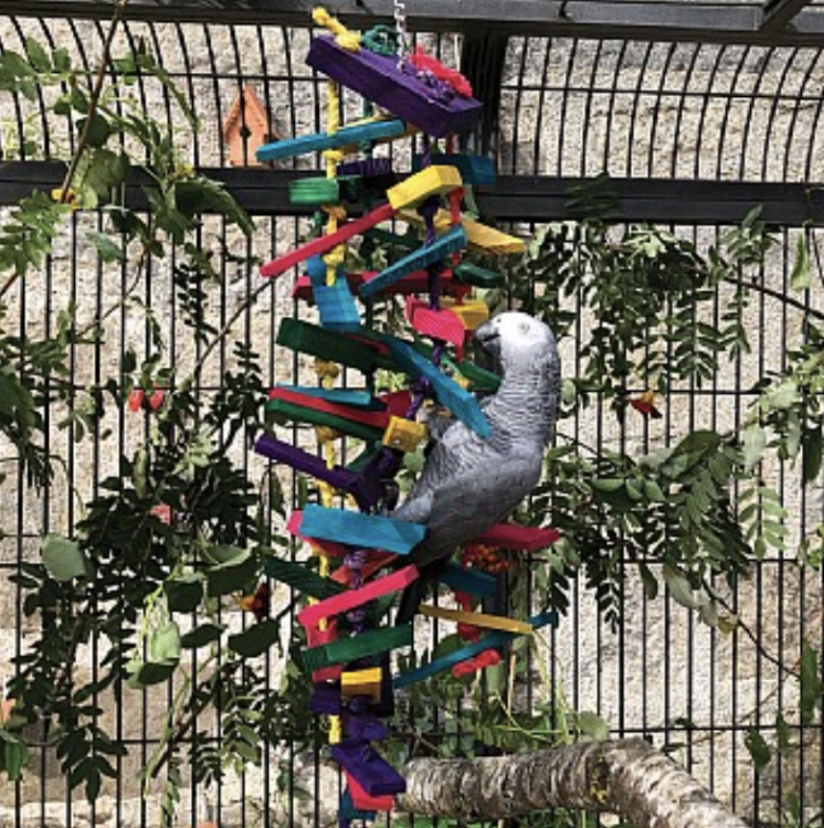 Fun70 - 70 cm hračka pro velké a střední papoušky o hmotnosti nad 1,5 kg! od ParrotPlanet.cz