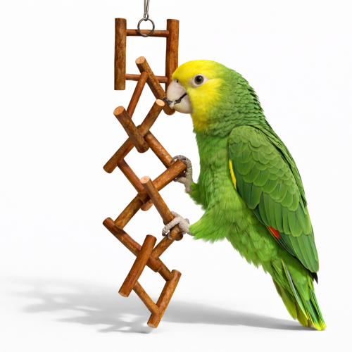 Šílená žebřík - hračka pro všechny papoušky  od ParrotPlanet.cz