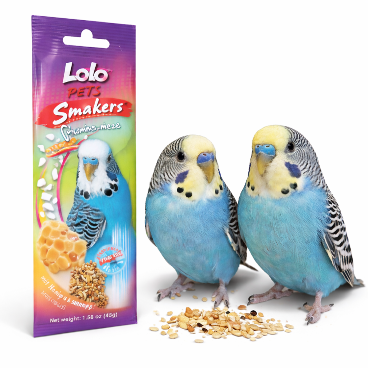 LoLo Pets -Smakers MIODOWY DEDYKOWANY DLA FALISTEJ 40g od ParrotPlanet.pl