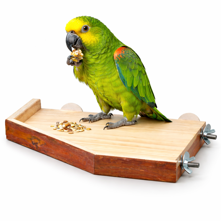 Stánek pro papoušky velikost L/XL 34 cm  od ParrotPlanet.cz