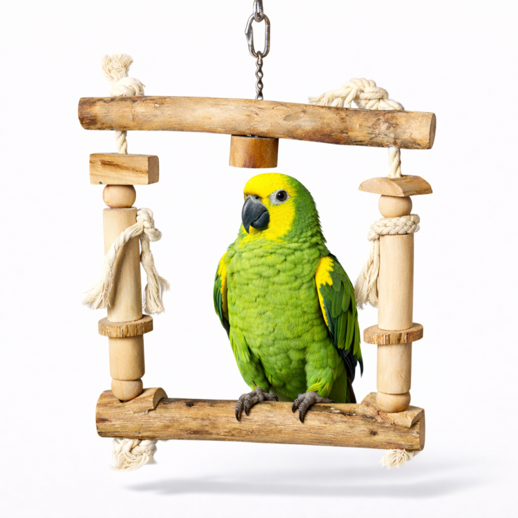 Dřevěná houpačka  – hračka pro střední a velké papoušky od ParrotPlanet.cz