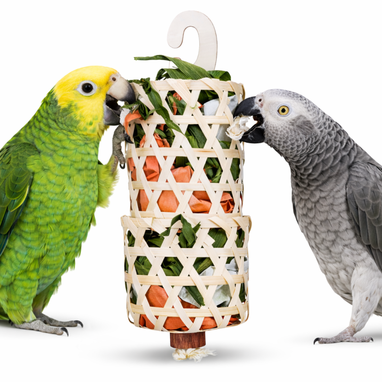 Trhaná Radost – přírodní hračka do hnízda pro malé papoušky od ParrotPlanet.cz