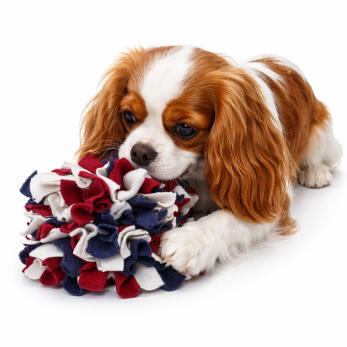 Čichová podložka/hračka pro psy od ParrotPlanet.cz