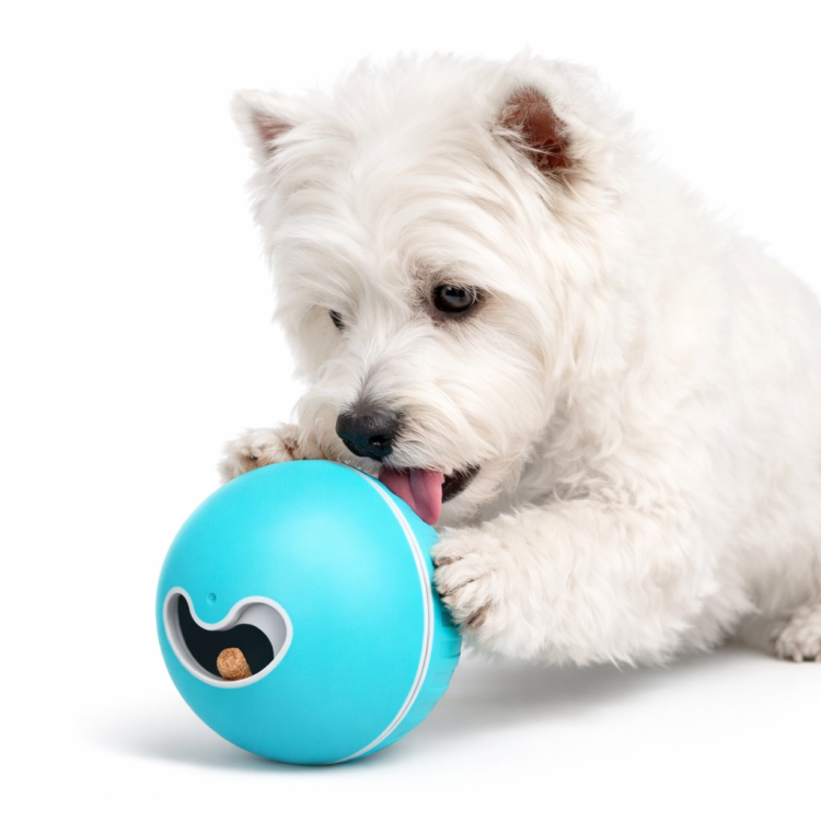 Míček na pamlsky pro psy – modrý, 7,5 cm  od ParrotPlanet.cz