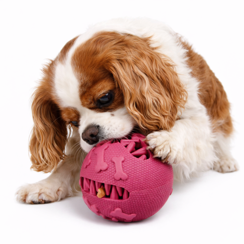 Míček na pamlsky pro psy – interaktivní miska – růžový, 7,5 cm od ParrotPlanet.cz