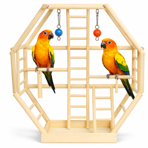 Papouščí žebříky – dřevěné hřiště pro papoušky/ptáky  od ParrotPlanet.cz