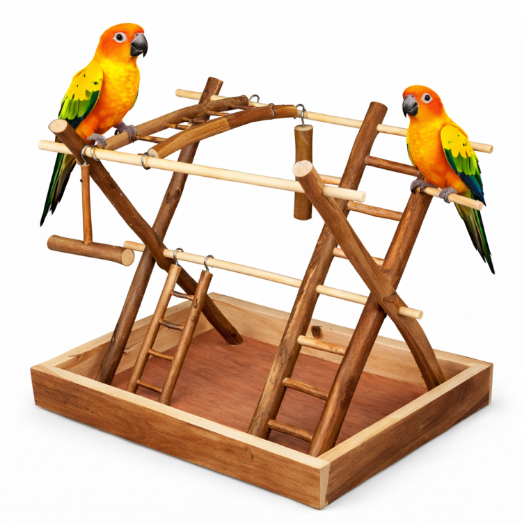 Parrot Gym – dřevěné hřiště pro papoušky 35 x 27 x 30 cm od ParrotPlanet.cz