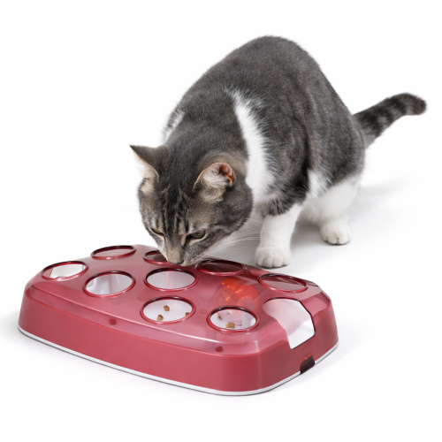 Cat Activity Soccer, vzdělávací hračka, pro kočky, plast, 33 x 23,5 cm o ParrotPlanet.cz