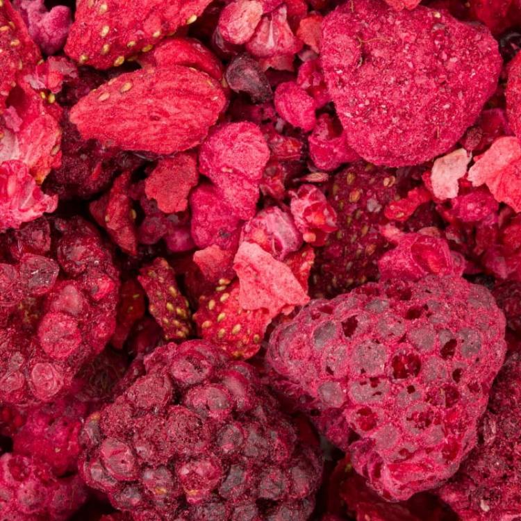 Powerki Lesní poklady – lyofilizované lesní ovoce pro hlodavce 20 g od ParrotPlanet.cz