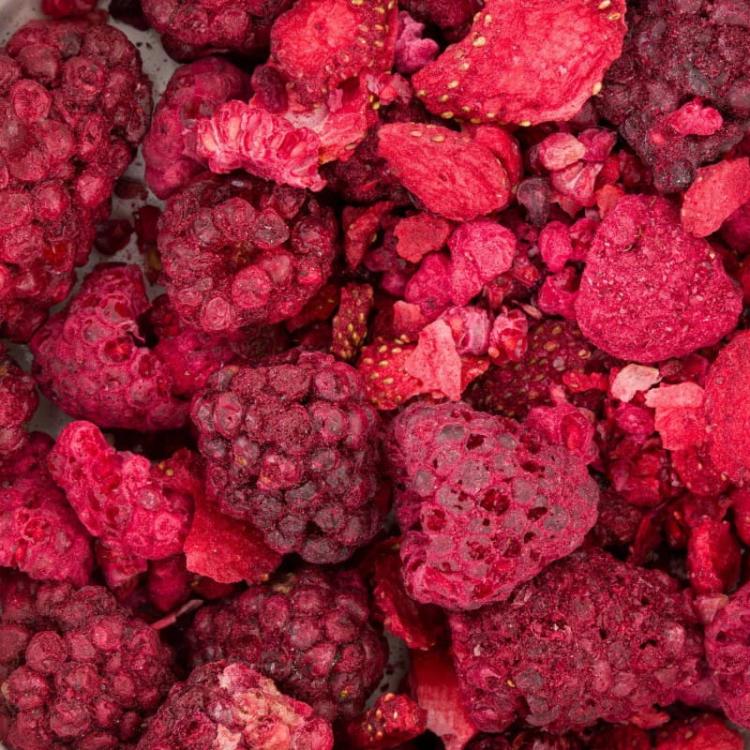 Powerki Lesní poklady – lyofilizované lesní ovoce pro hlodavce 20 g od ParrotPlanet.cz