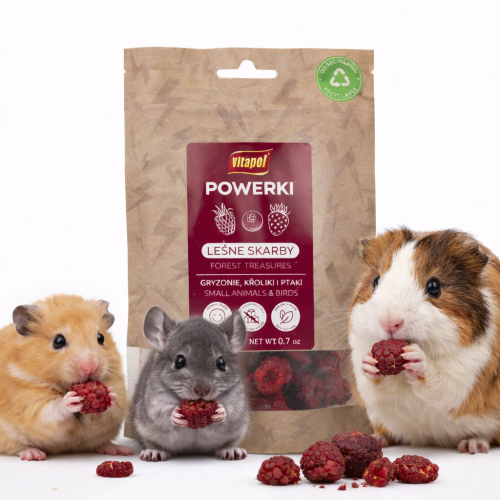 Powerki Lesní poklady – lyofilizované lesní ovoce pro hlodavce 20 g od ParrotPlanet.cz
