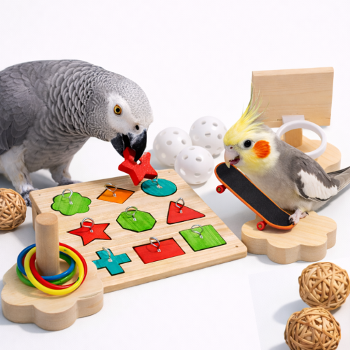 Super Zestaw Różnych Zabawek - dla średnich i większych papug od ParrotPlanet.pl