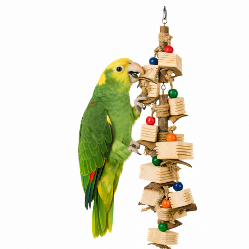 Kouzelná hračka  - pro všechny papoušky od ParrotPlanet.cz