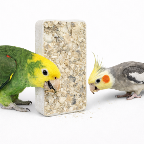 Vápenný s mušlemi - pro všechny papoušky 30 g od Parrotpanet.cz