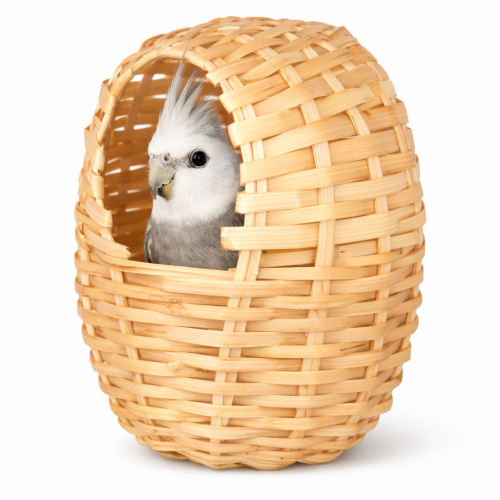 Hnízdní budka - pro malé papoušky a exotické ptáky od ParrotPlanet.cz