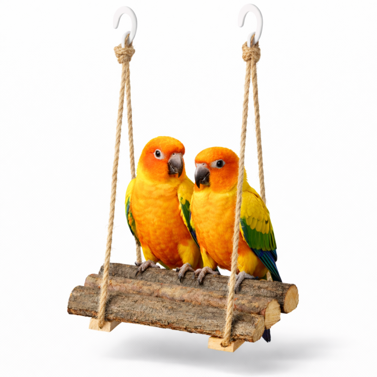 Houpačka Natura – hračka pro malé a střední papoušky od ParrotPlanet.cz
