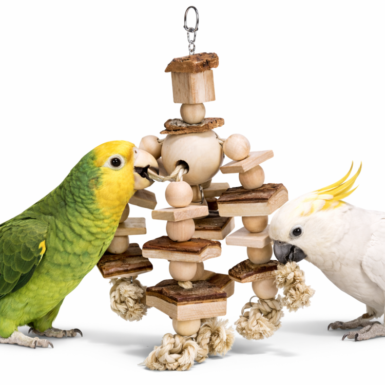 Přírodní provaz s křupavým dřevem – hračka pro papoušky od ParrotPlanet.cz