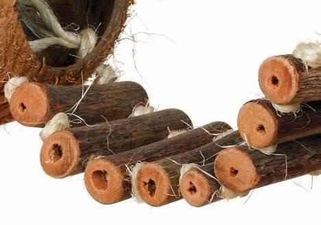 Kokosový domek s žebříkem – přírodní hračka a úkryt pro hlodavce 50 × 14 cm od ParrotPlanet.cz