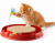 Tor Catit Play'n Scratch se škrabadlem | hračka pro kočky | 4 x 36 x 39,5 cm | červená od ParrotPlanet.cz