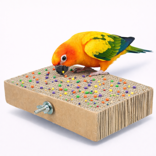Kartonová SKRYTÁ NÁSTRAHA II – hračka na kousání a lovení pro všechny papoušky  od ParrotPlanet.cz