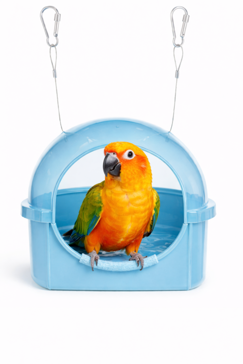 Závěsný bazén | Koupel pro malé a střední papoušky od ParrotPlanet.cz