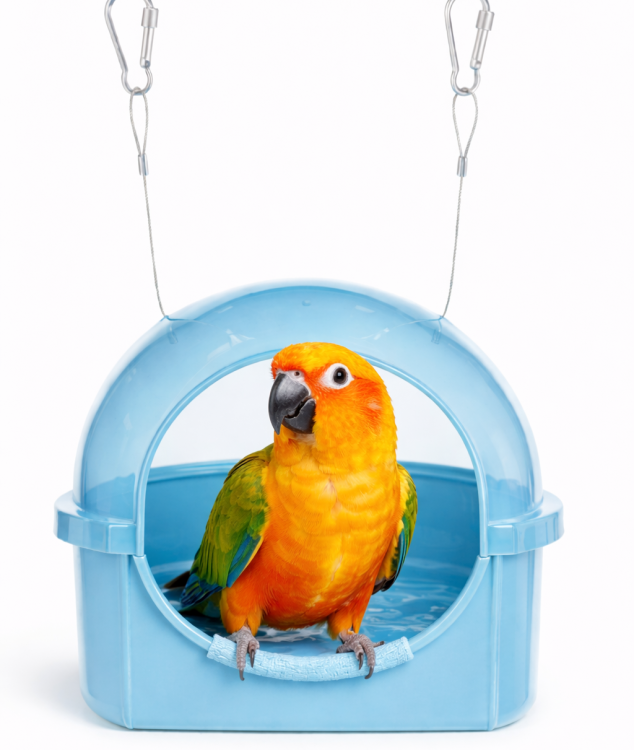 Závěsný bazén | Koupel pro malé a střední papoušky od ParrotPlanet.cz