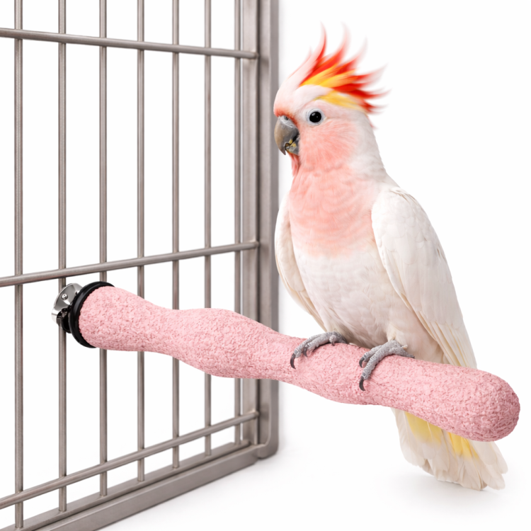 Terapeutická tyč „Mani Pedi” – pro střední papoušky velikosti M/L od ParrotPlanet.cz