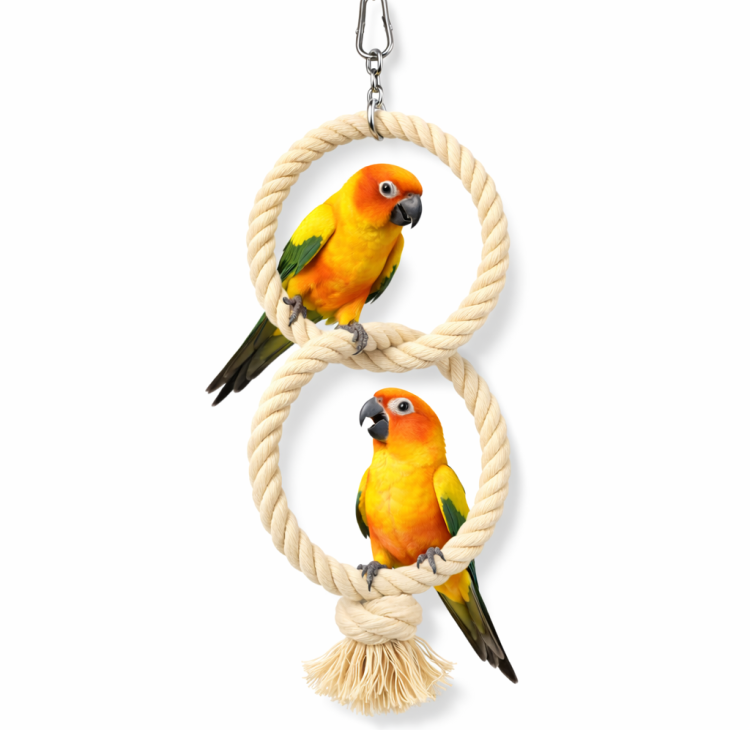 Houpací obruč - pro malé a střední papoušky od ParrotPlanet.cz