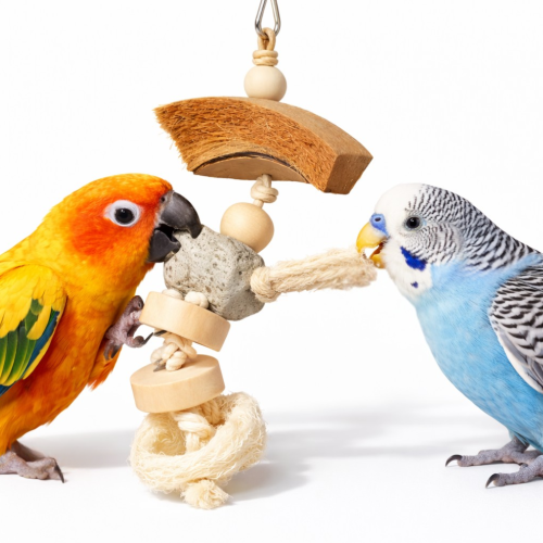 Kokosové štěstí – hračka pro velké a střední papoušky od ParrotPlanet.cz
