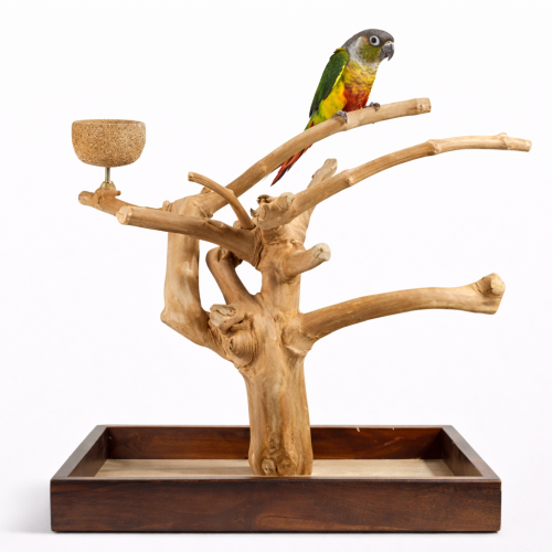 Drzewko JAVA z podstawą - dla średnich i małych papug  od parrotPlanet.pl