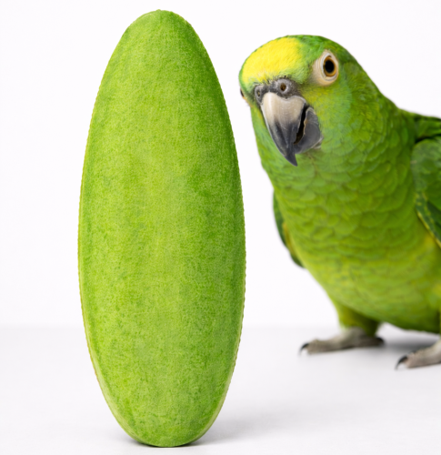 Citronová sépie pro papoušky a exotické ptáky od ParrotPlanet.cz