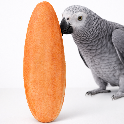 Ochucená sépiová kost pro papoušky a exotické ptactvo od ParrotPlanet.cz