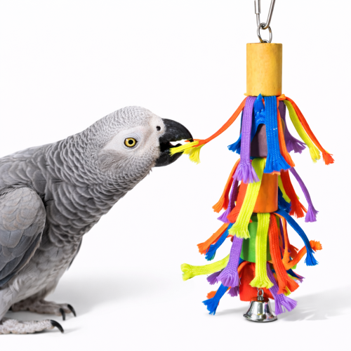 Třásně  – hračka pro všechny papoušky od ParrotPlanet.cz