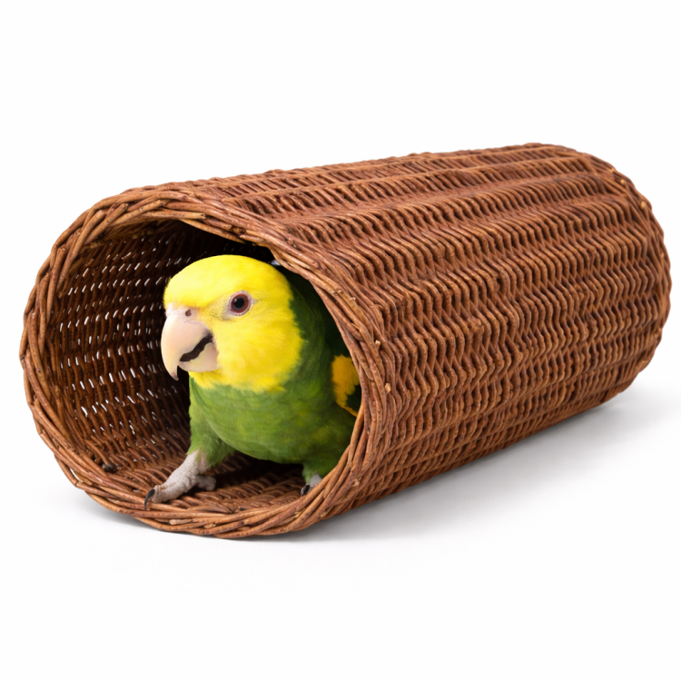 Přírodní proutěný tunel | Hračka úkryt | Stan pro papoušky od ParrotPlanet.cz
