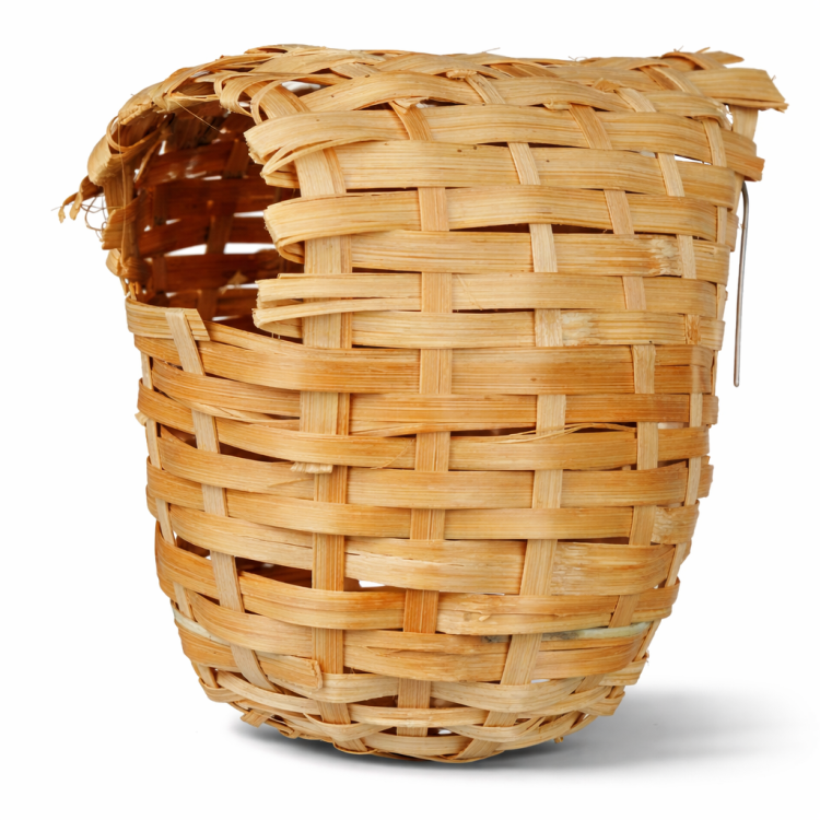 Hnízdní budka - velká pro papoušky a exotické ptáky od ParrotPlanet.cz