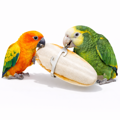 Sepia Mineral dla papug rozm. XL - 18cm  od ParrotPlanet.pl