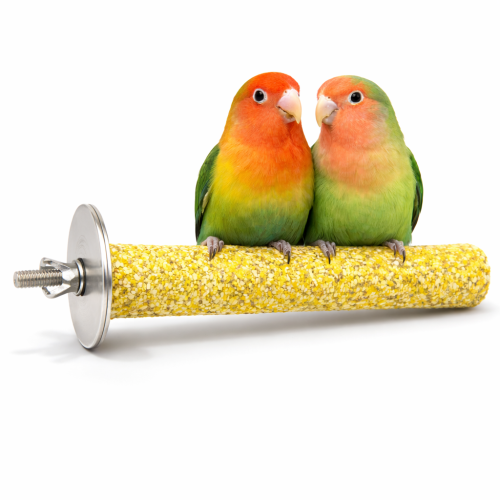 Żerdź do pielęgnacji pazurów Medium ok.15x2,5cm od ParrotPlanet.pl