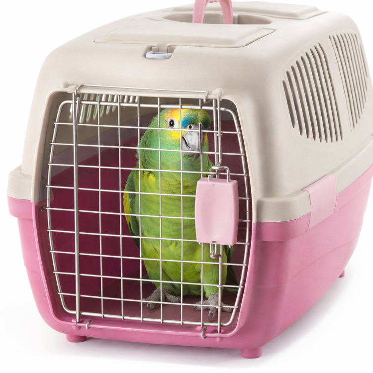 Šedá/růžová přepravka pro malé, střední a větší papoušky od ParrotPlanet.cz