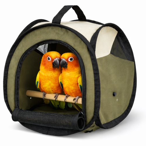 Batoh pro krátký transport papoušků – zelený od ParrotPlanet.cz