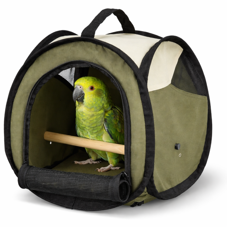Batoh pro krátký transport papoušků – zelený od ParrotPlanet.cz