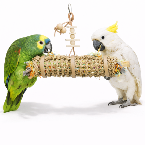 XXL láhev z mořské trávy - hračka pro velké papoušky 60 cm dlouhá, 8 cm v průměru od ParrotPlanet.cz