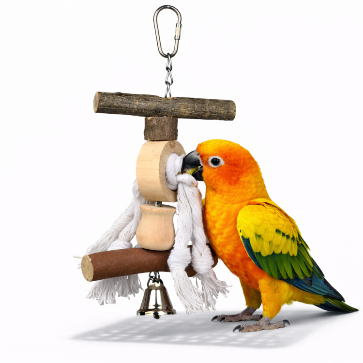 Ideální hračka – hračka pro všechny menší papoušky od ParrotPlanet.cz