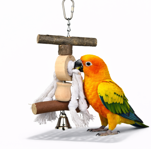 Ideální hračka – hračka pro všechny menší papoušky od ParrotPlanet.cz